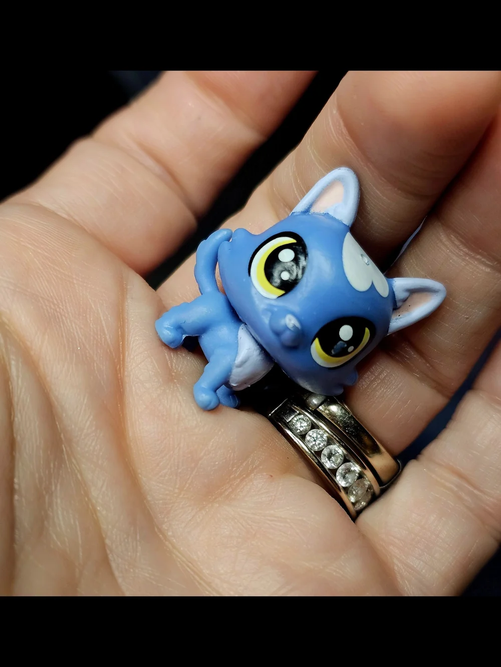 Littlest Pet Shop LPS 332 #332 Arran Pawsdale